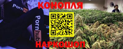 мет Новодвинск