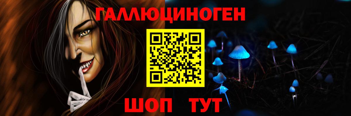 Городец  Псилоцибиновые грибы мухоморы  Вход с VPN 